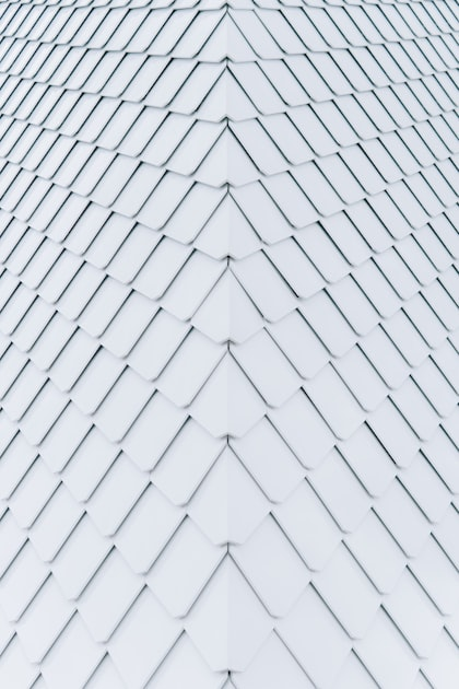 Understanding Your Roofing Needs